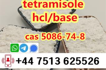 cas 5086748 tetramisole hcl base strong effect export to Europe